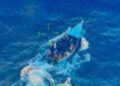 Guardia Costera repatria a 39 migrantes a República Dominicana