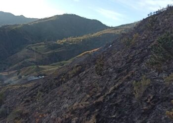 Bomberos forestales extinguen incendio en el Parque Nacional Valle Nuevo