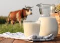 De vaca, de cabra o vegetal: ¿qué leche es la más saludable?