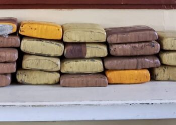 Decomisan 200 libras de marihuana en Elías Piña