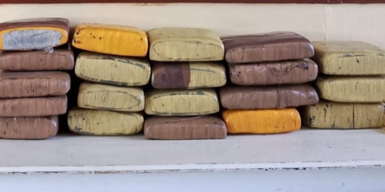 Decomisan 200 libras de marihuana en Elías Piña