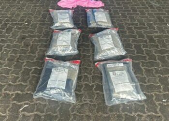 Ocupan 12 paquetes de marihuana en el puerto de Haina Oriental