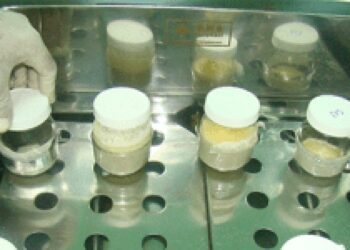 Banco de leche humana de la Maternidad la Altagracia rompe récord de recaudación