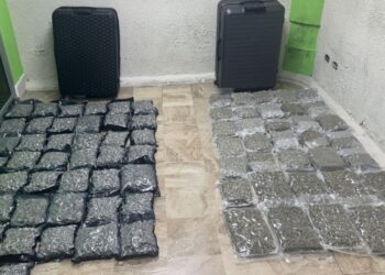 Decomisan 79 paquetes de marihuana en Aeropuerto Internacional de Punta Cana
