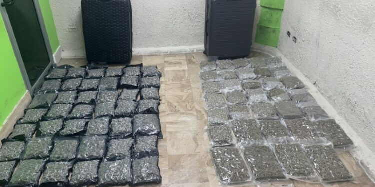 Decomisan 79 paquetes de marihuana en Aeropuerto Internacional de Punta Cana