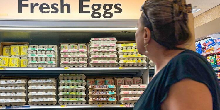 EE.UU. pide huevos a Europa