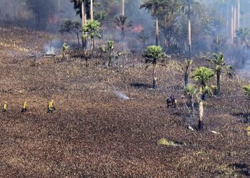 El COE y organismos de emergencia controlan incendio en la Reserva Hoyo Claro