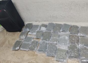 DNCD arresta una canadiense que llegó al país con 23 paquetes de marihuana