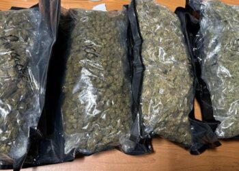 Confiscan 73 paquetes de marihuana en el puerto de Haina Oriental