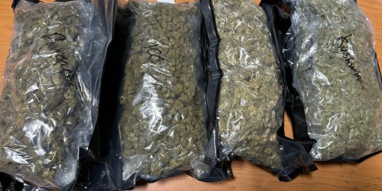 Confiscan 73 paquetes de marihuana en el puerto de Haina Oriental