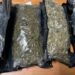 Confiscan 73 paquetes de marihuana en el puerto de Haina Oriental