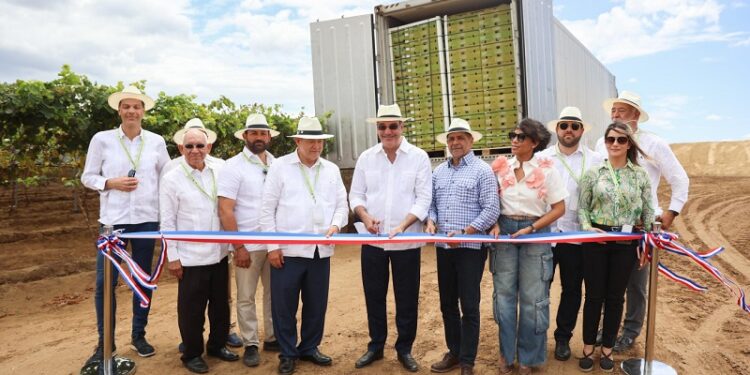 República Dominicana despacha el primer contenedor de uvas de mesa hacia EEUU