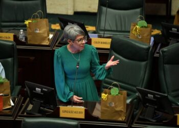 Cámara busca agilizar los procesos en casos violencia doméstica