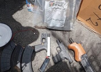 Aduanas y DNCD incautan armas y drogas dentro de caja y bocina en el puerto de Haina