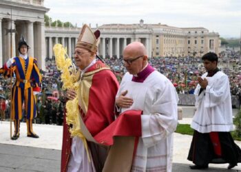 «Tender la mano al que ya no puede más” pide el Papa en el Domingo de Ramos