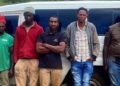Detienen ilegales en yipeta con placa haitiana