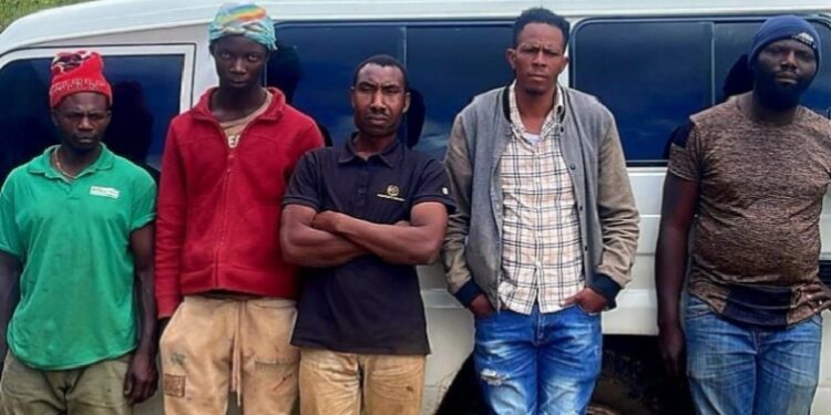 Detienen ilegales en yipeta con placa haitiana