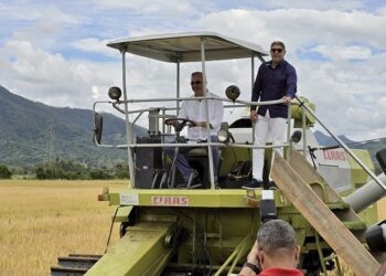 Abinader da inicio a la cosecha de arroz 2025, producción superará los 15 millones de quintales