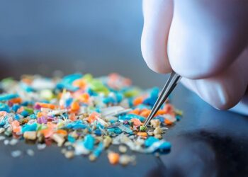 Los ‘nuggets’ y las patatas fritas causan depresión y afectan a la salud mental