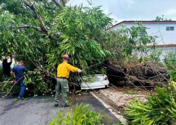 Gobernadora incluye tres municipios más en orden de Estado de Emergencia