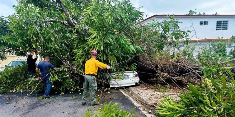 Gobernadora incluye tres municipios más en orden de Estado de Emergencia