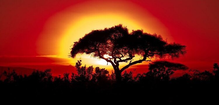 Las predicciones climáticas anticipan temperaturas récord en los próximos cinco años