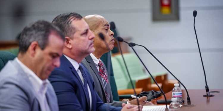 El maltrato infantil refleja una crisis social en Puerto Rico