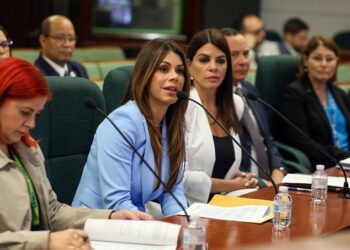 Cámara investiga miles de reclamaciones de enseres dañados denegadas por LUMA Energy