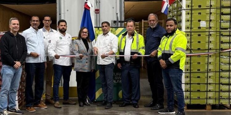 Llegan a puerto EEUU primeros furgones de uvas de mesa dominicana