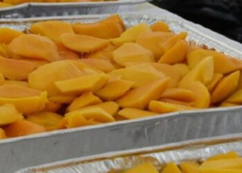 Concluye Expo Mango 2025