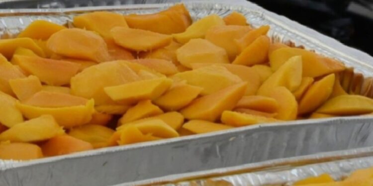 Concluye Expo Mango 2025