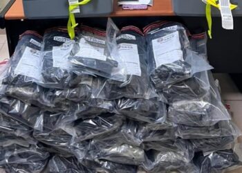 Arrestan mujer con dos maletas llenas de marihuana