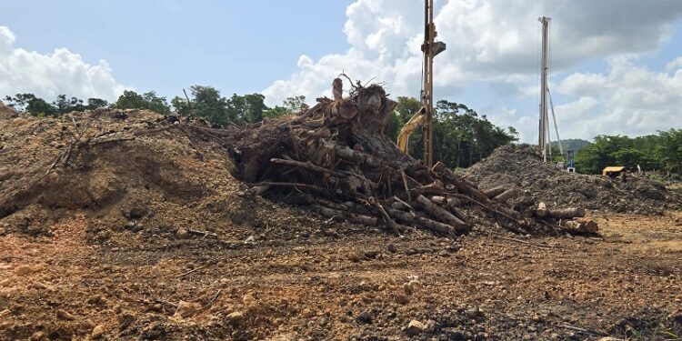 Ministerio Público paraliza proyecto inmobiliario en Samaná, por daños al medio ambiente