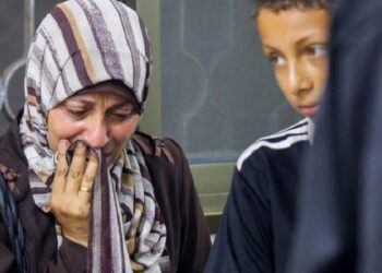 El Papa León XIV: Que las armas no sofoquen el grito de la humanidad