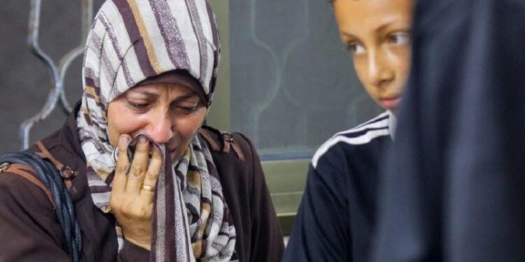 El Papa León XIV: Que las armas no sofoquen el grito de la humanidad