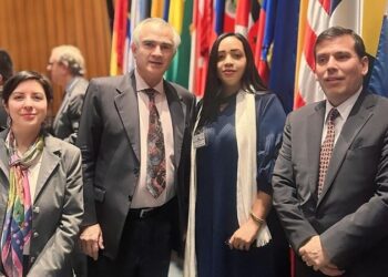 Supérate presenta avances en Protección Social Adaptativa y Cuidados en seminario de la Cepal