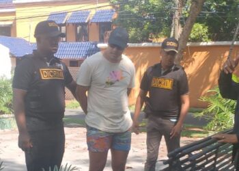 Arrestan hombre acusado de lanzar dos perros desde el piso 11 de una torre residencial 