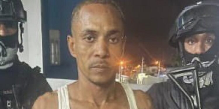 Policía arresta a «Maguila», captado por cámaras robando