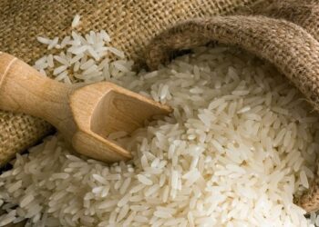 FP acusa al Gobierno del PRM de inundar el mercado con importaciones ilegales