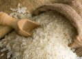 FP acusa al Gobierno del PRM de inundar el mercado con importaciones ilegales