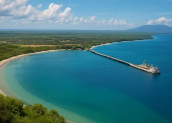 Plan de ordenamiento un traje a la medida para consorcios energéticos legalizar el despojo de suelos en Manzanillo