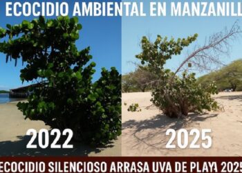 CEBAMDER: En Manzanillo se comete un ecocidio ambiental con el apoyo financiero internacional
