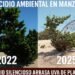 CEBAMDER: En Manzanillo se comete un ecocidio ambiental con el apoyo financiero internacional