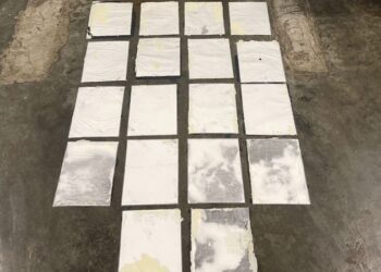 DNCD incauta láminas de cocaína camuflados en cuadros de cartón