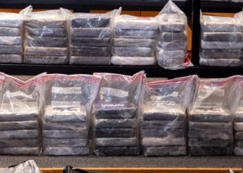 DNCD incauta 210 paquetes de cocaína en Haina y Caucedo