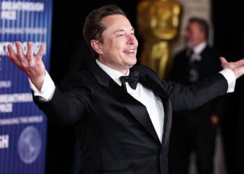 Musk: «Hoy se forma el Partido América para devolver la libertad»