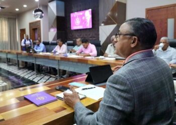 Secretario de Organización del PLD resalta avances alcanzados por el partido