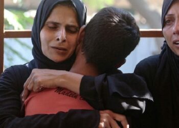 El Papa a Pax Christi USA: sean creadores de paz y reconciliación en un mundo en guerra