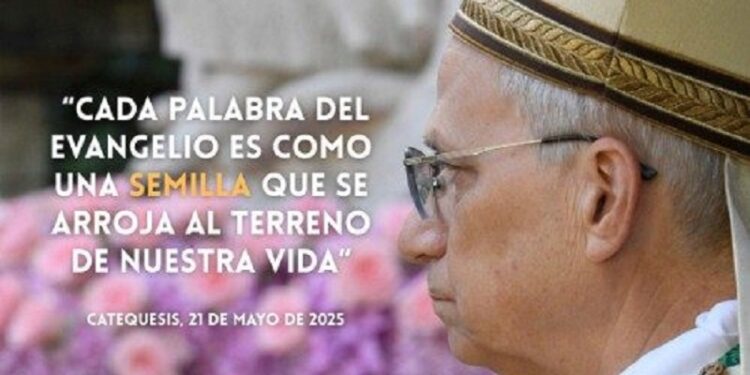 El Papa León XIV, la parábola del Sembrador