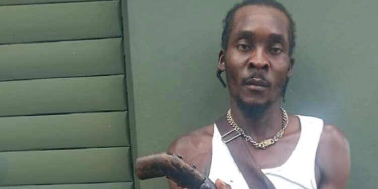 Ejército detiene a haitiano con una escopeta de fabricación casera en Elías Piña